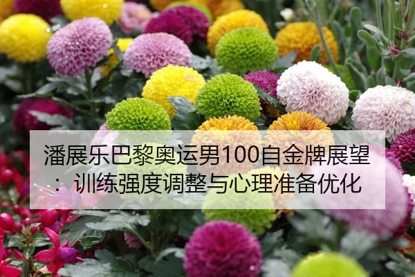 潘展乐巴黎奥运男100自金牌展望：训练强度调整与心理准备优化
