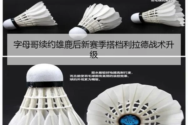 字母哥续约雄鹿后新赛季搭档利拉德战术升级