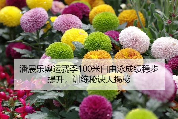 潘展乐奥运赛季100米自由泳成绩稳步提升，训练秘诀大揭秘
