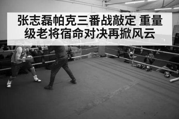 boxer training gym